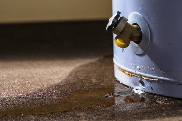 Best Carpet water damage restoration  in Allentown, PA