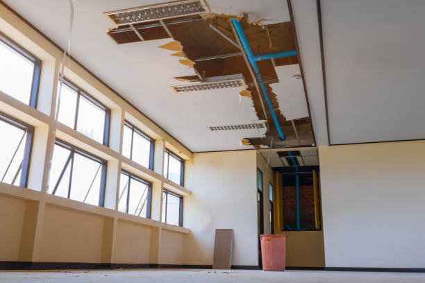 Best 24/7 water damage repair  in Allentown, PA