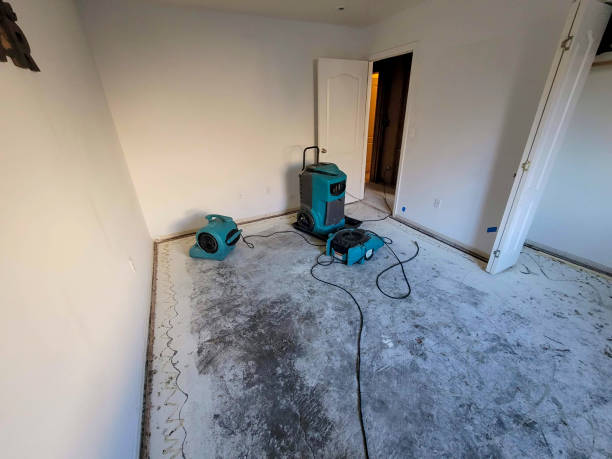 Best Flood damage cleanup  in Allentown, PA