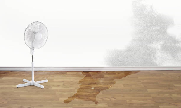 Best Water damage restoration near me  in Allentown, PA