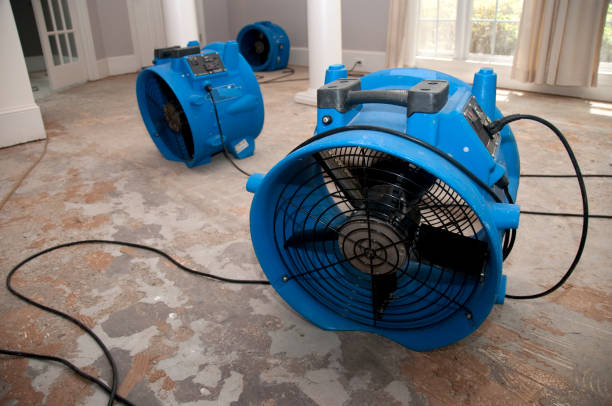 Best Professional water damage repair  in Allentown, PA