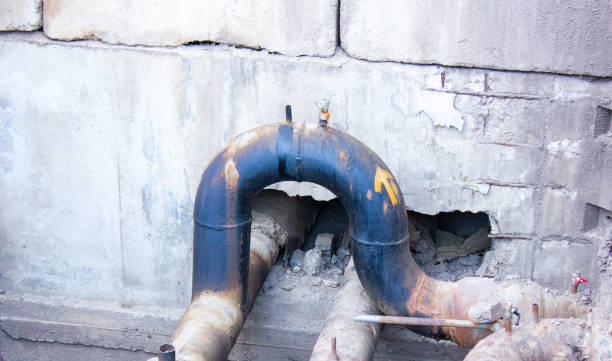 Best Professional water damage repair  in Allentown, PA