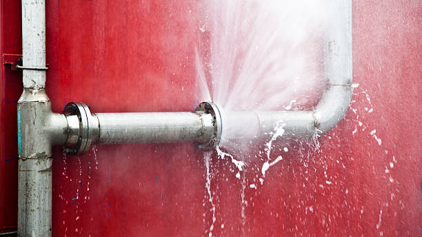 Best Mold removal after water damage  in Allentown, PA